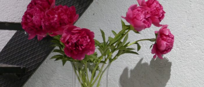 Austellung Anke Sebening